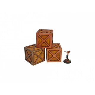XIX Century Crates (3)