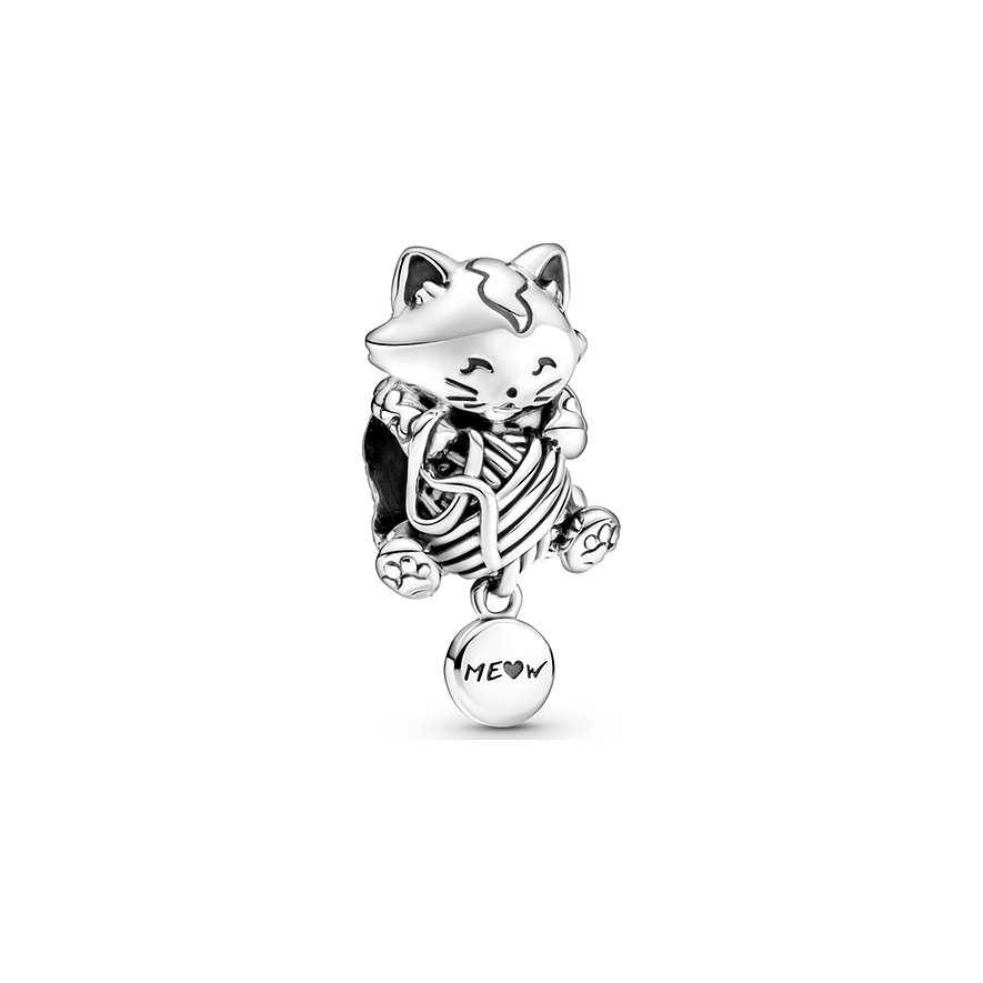 Pandora Charm Moments