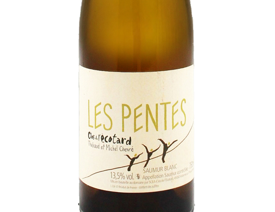 Clos de L’ecotard Michel et Thibaud Chevré les Pentes 2020 Loire Saumur