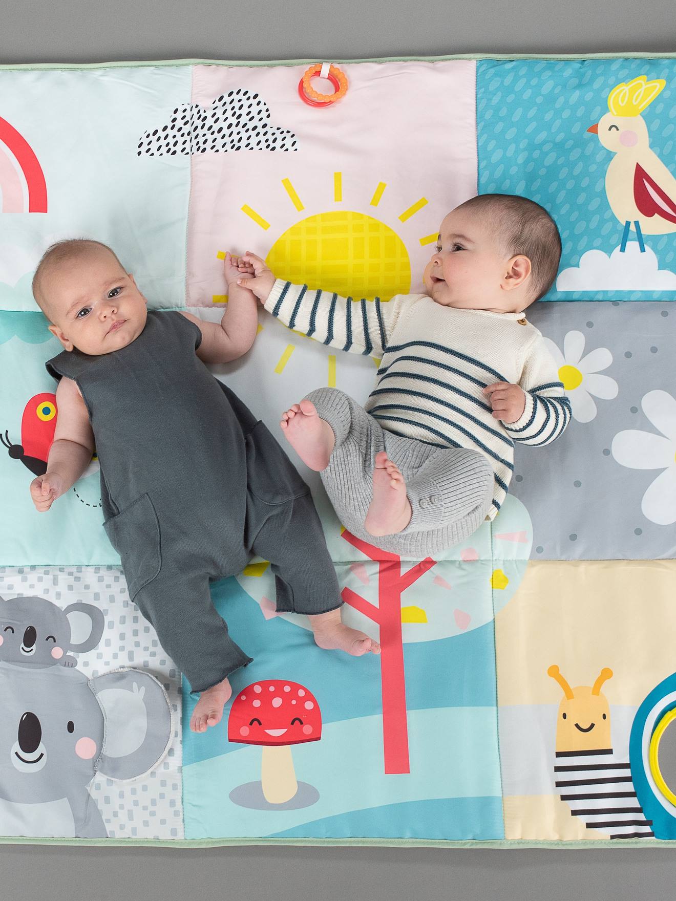 Tapis Géant Koala