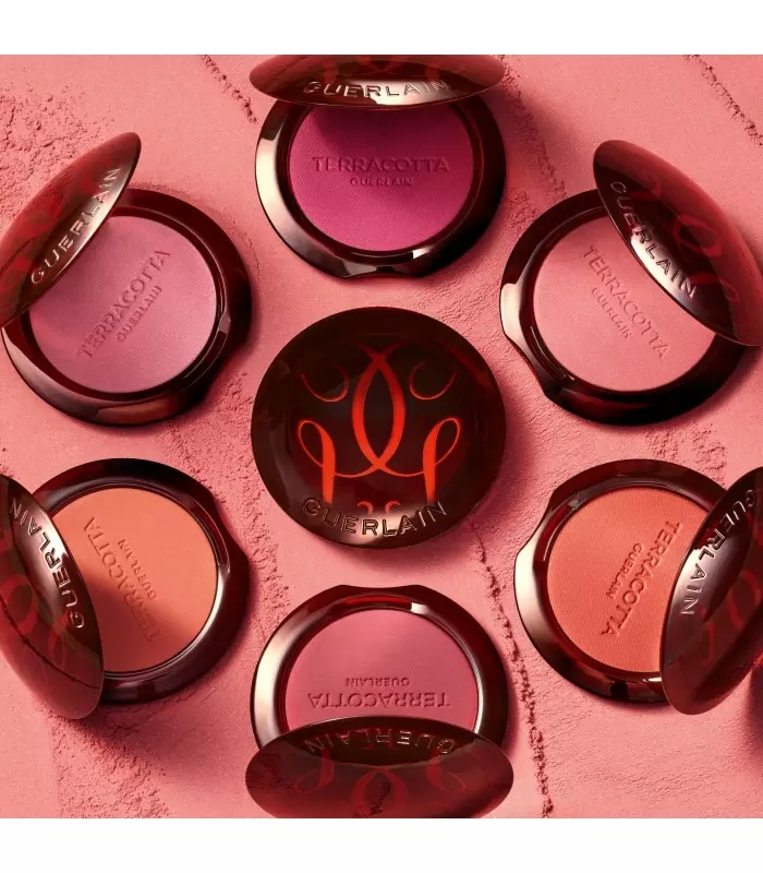 TERRACOTTA BLUSH  Le fard à joues effet bonne mine