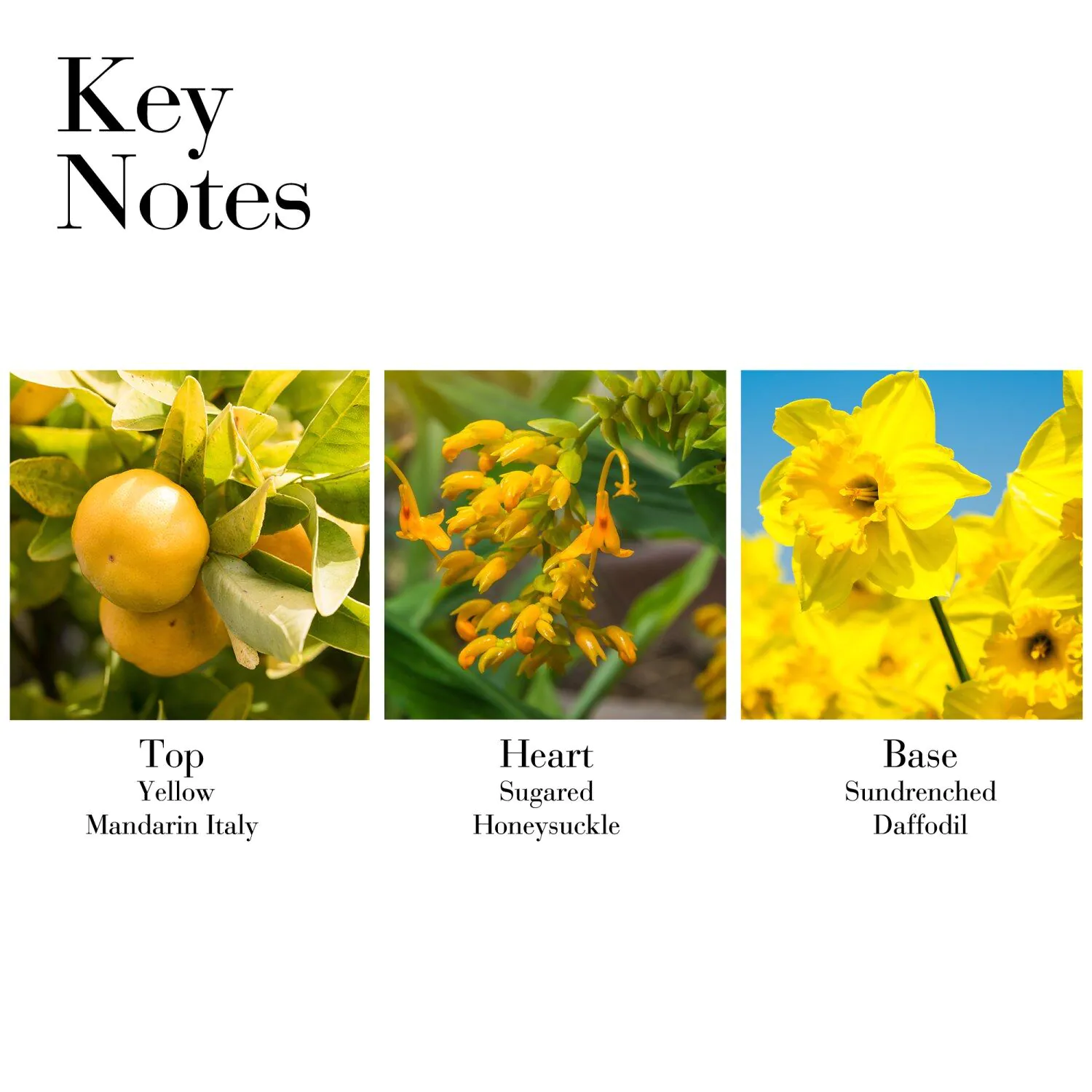 Elizabeth Arden Sunflowers Eau de Toilette til kvinder 30 ml
