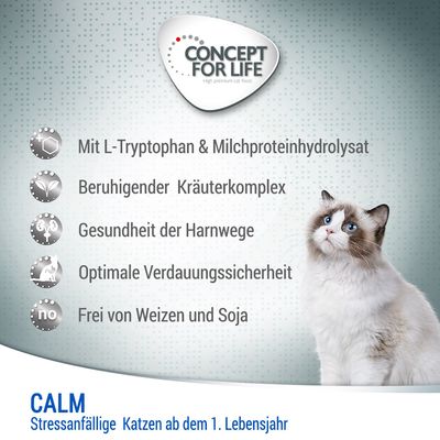 Concept for Life Calm
