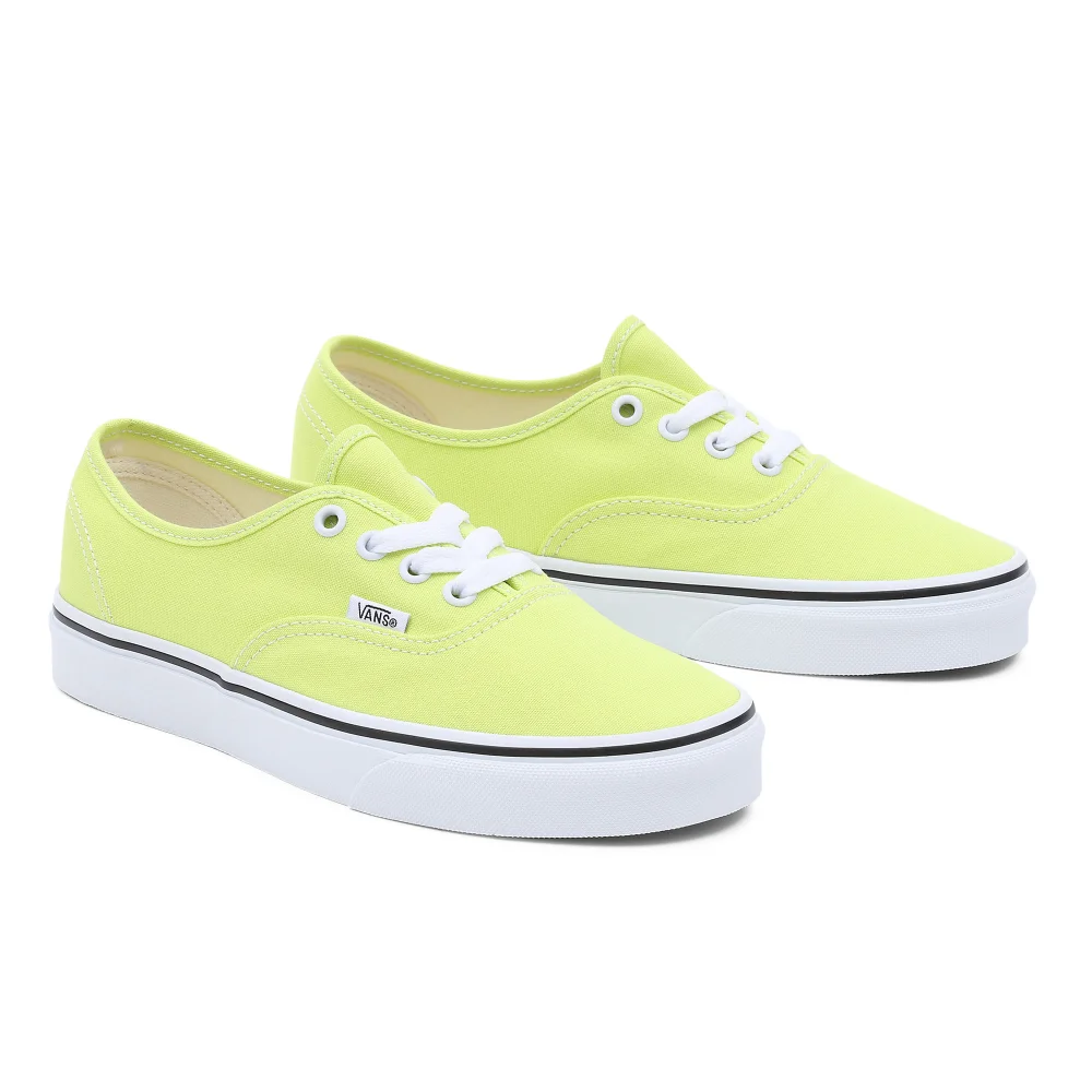 Vans Color Theory Authentic VN0A5KS9ZUD1 / grün