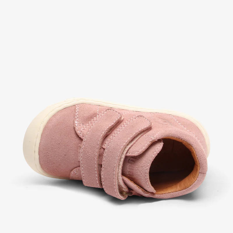 hale blush - Rose