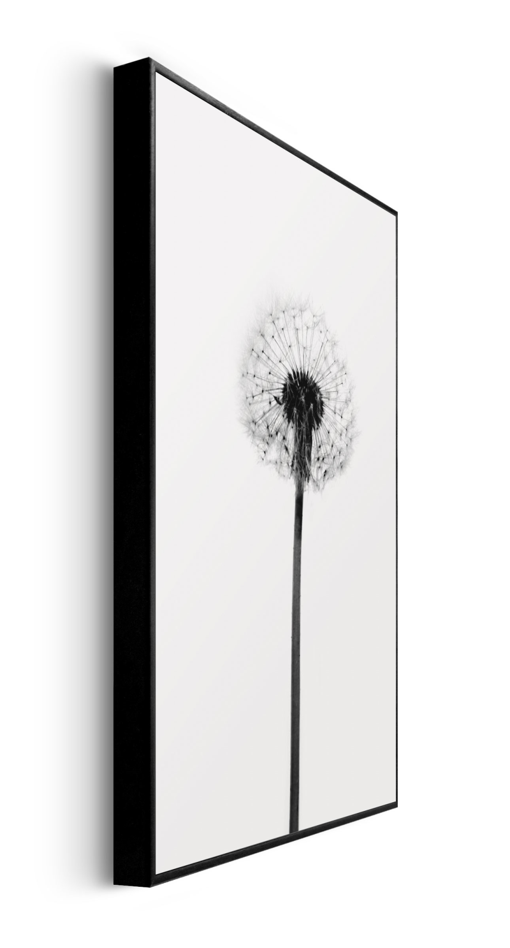 Rahmenbild Pusteblume