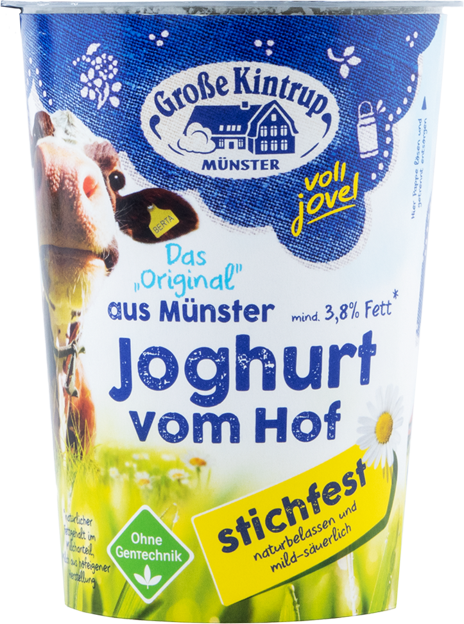 Große Kintrup Naturjoghurt mild