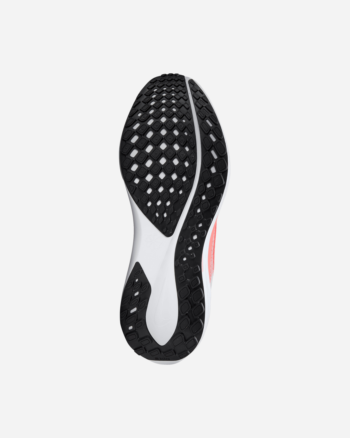 Scarpe Running Nike Pegasus 41 W FD2723-109