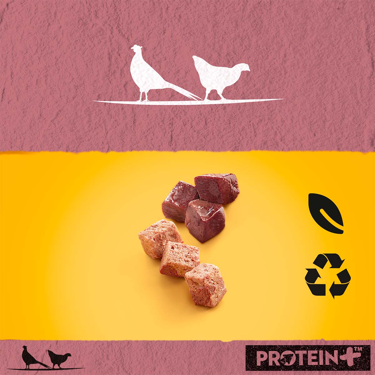 PEDIGREE Protein+ in Pastete Wild & Geflügel kaufen bei ZooRoyal
