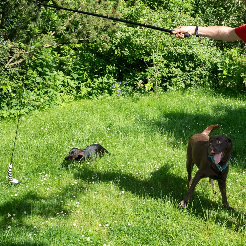 Nomad Tales Hundespielzeug XL Teaser zu TOP-Preisen