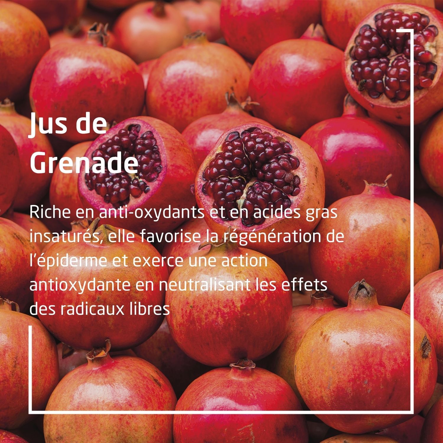 Weleda Grenade Déodorant Roll-on 24h - 100% d'Origine Naturelle 2 x 50 ml
