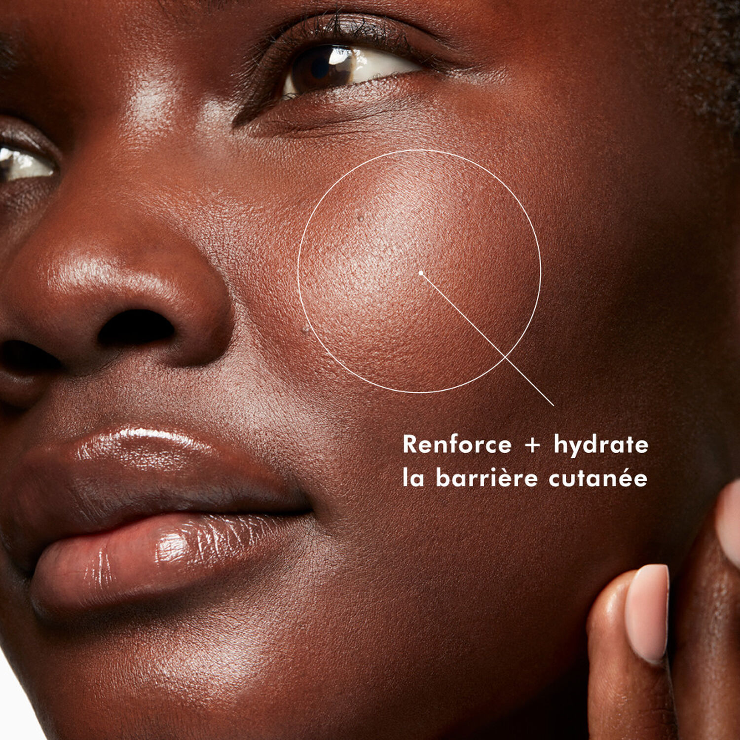 Skinceuticals Phyto Corrective Essence Mist Brume Apaisante et Hydratante 60 ml