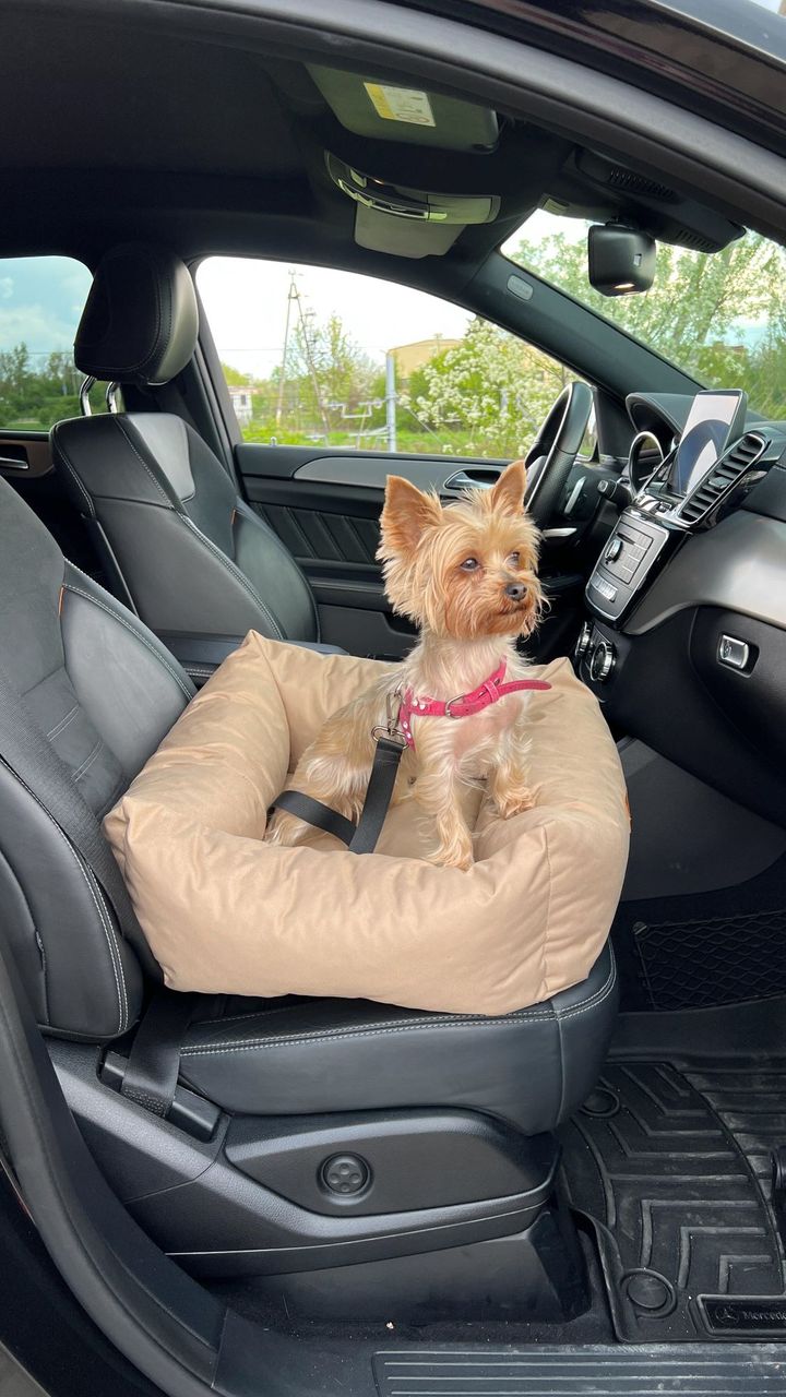 Animood Hundeautositz Julian cappucino S