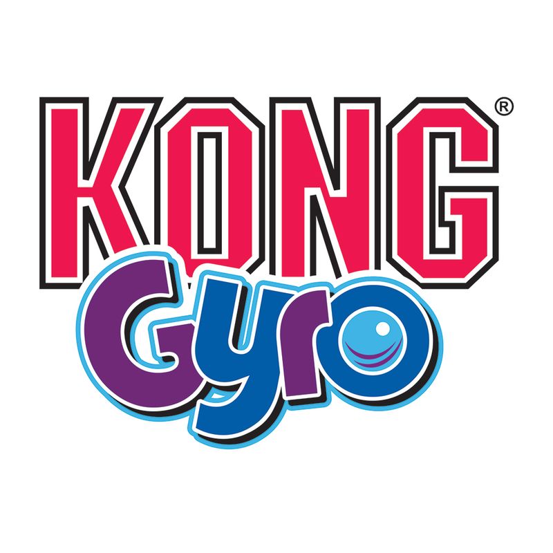 KONG Gyro zu TOP-Preisen