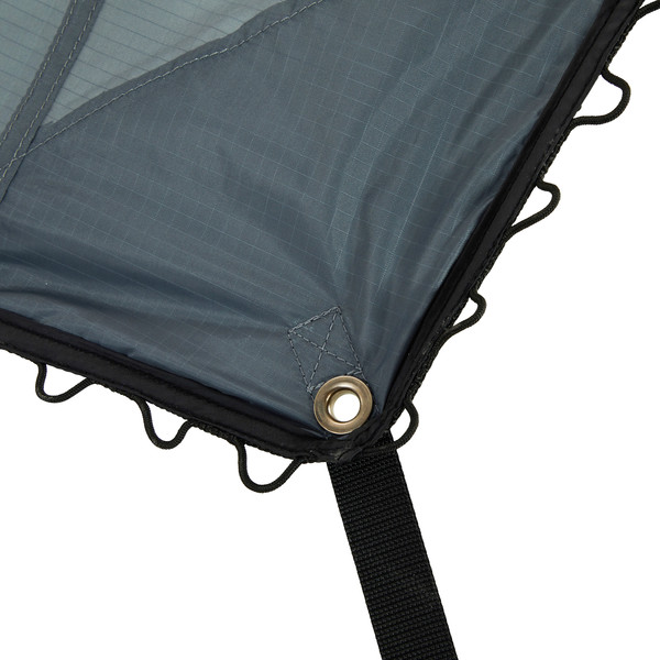 DAWN L TARP
