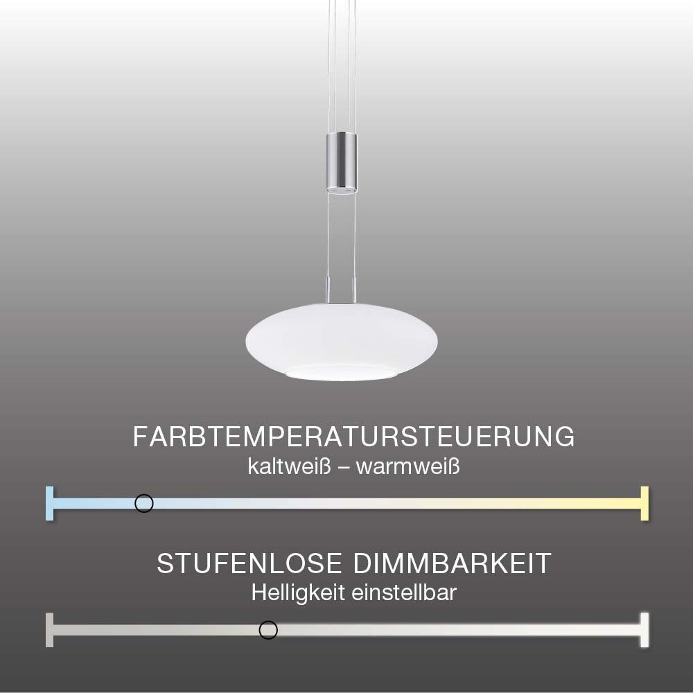Paul Neuhaus Smarte LED-Leuchte LED Pendellampe Q ETIENNE Smart Home, Smart Home, CCT-Farbtemperaturregelung, RGB-Farbwechsel, Dimmfunktion, Memoryfunktion, mit Leuchtmittel, dimmbar Fernbedienung höhenverstellbar CCT Pendel