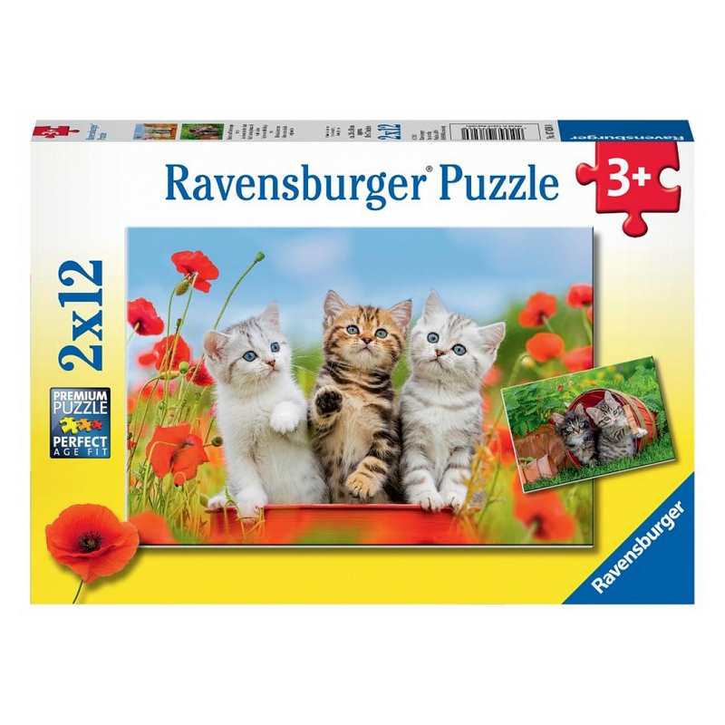 Puzzles la découverte des chats 2x 12 pièces