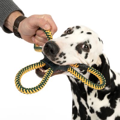 Nomad Tales Spirit Boomerang-Seil