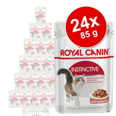 Sparpaket Royal Canin 24 x 85 g