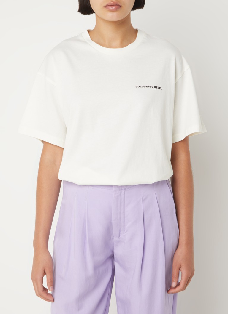Colorful Rebel Secret Sun oversized organic cotton T-shirt with logo and back print