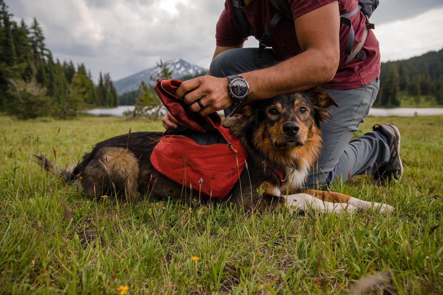 Ruffwear Tragetaschen Ruffwear Front Range™ Hundetagesrucksack rot XS