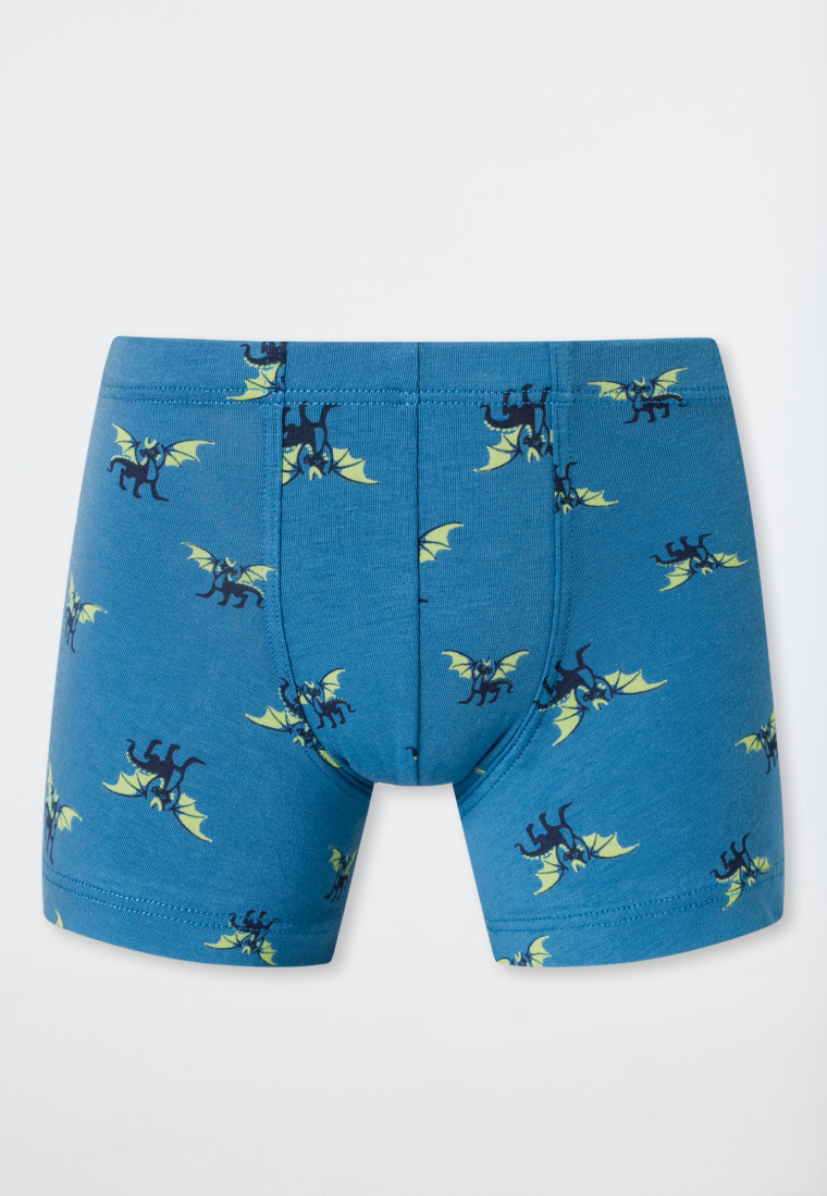 Shorts 5er-Pack Organic Cotton Softbund Streifen und Drachen - 95/5