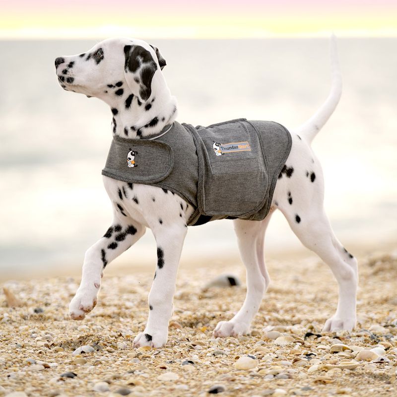 ThunderShirt Beruhigungsweste, grau zu TOP-Preisen
