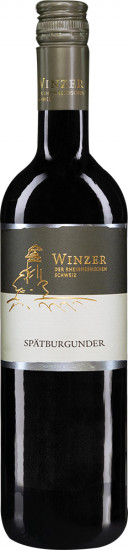 2022 Spätburgunder klassisch feinherb - Winzer der Rheinhessischen Schweiz