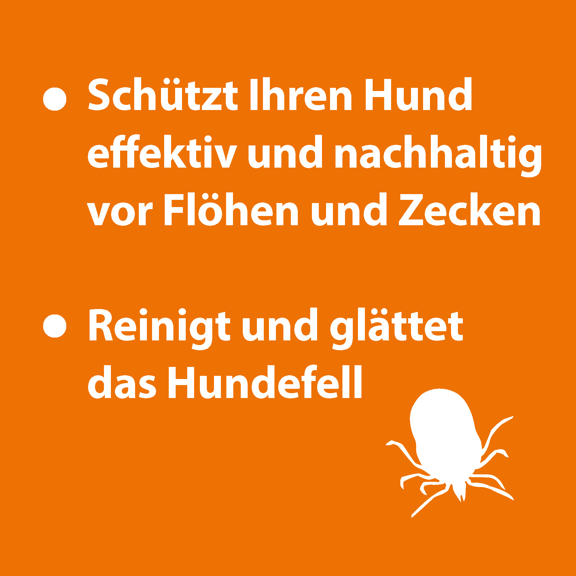 Ardap Fellpflege Ardap Anti Zecken Shampoo für Hunde 250ml