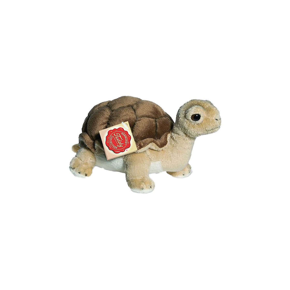 Schildkröte 20 cm