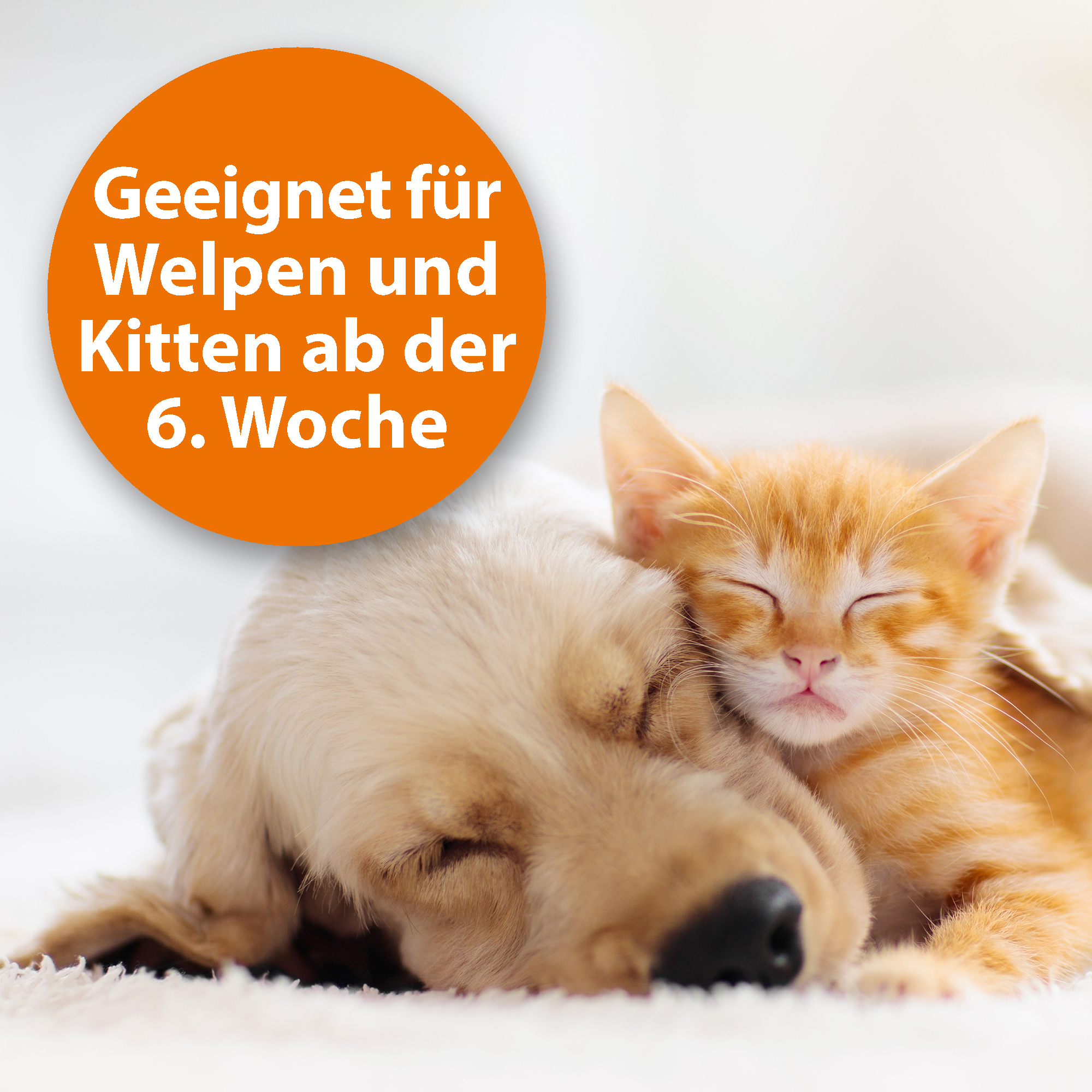 Ardap Fellpflege Ardap Flohspray zur Anwendung am Tier 250ml