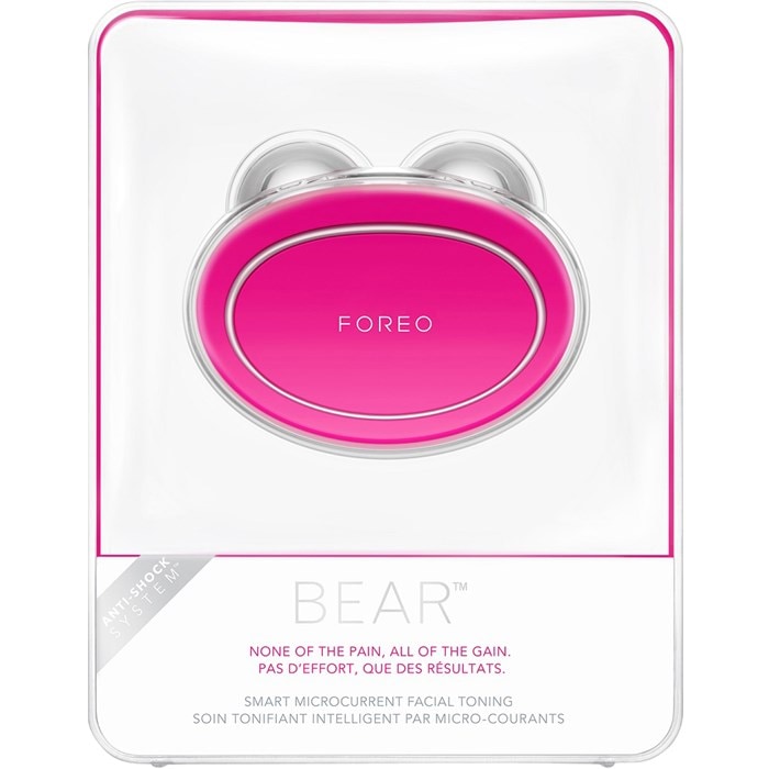 Bear
