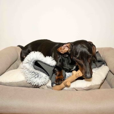 Nomad Tales Calma Hundespielzeug Bambus-Ast