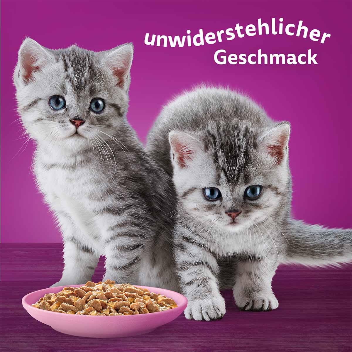 Whiskas Multipack Junior Geflügel Auswahl in Gelee 12x85g