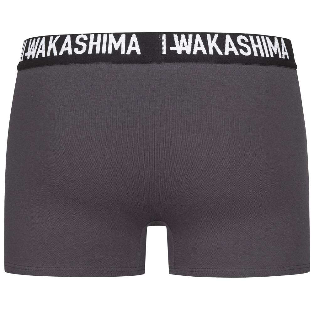 HIDETOSHI WAKASHIMA 