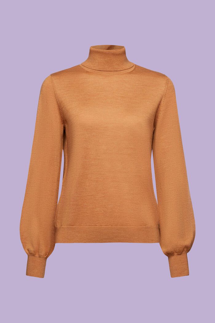 Rollkragenpullover aus Wolle