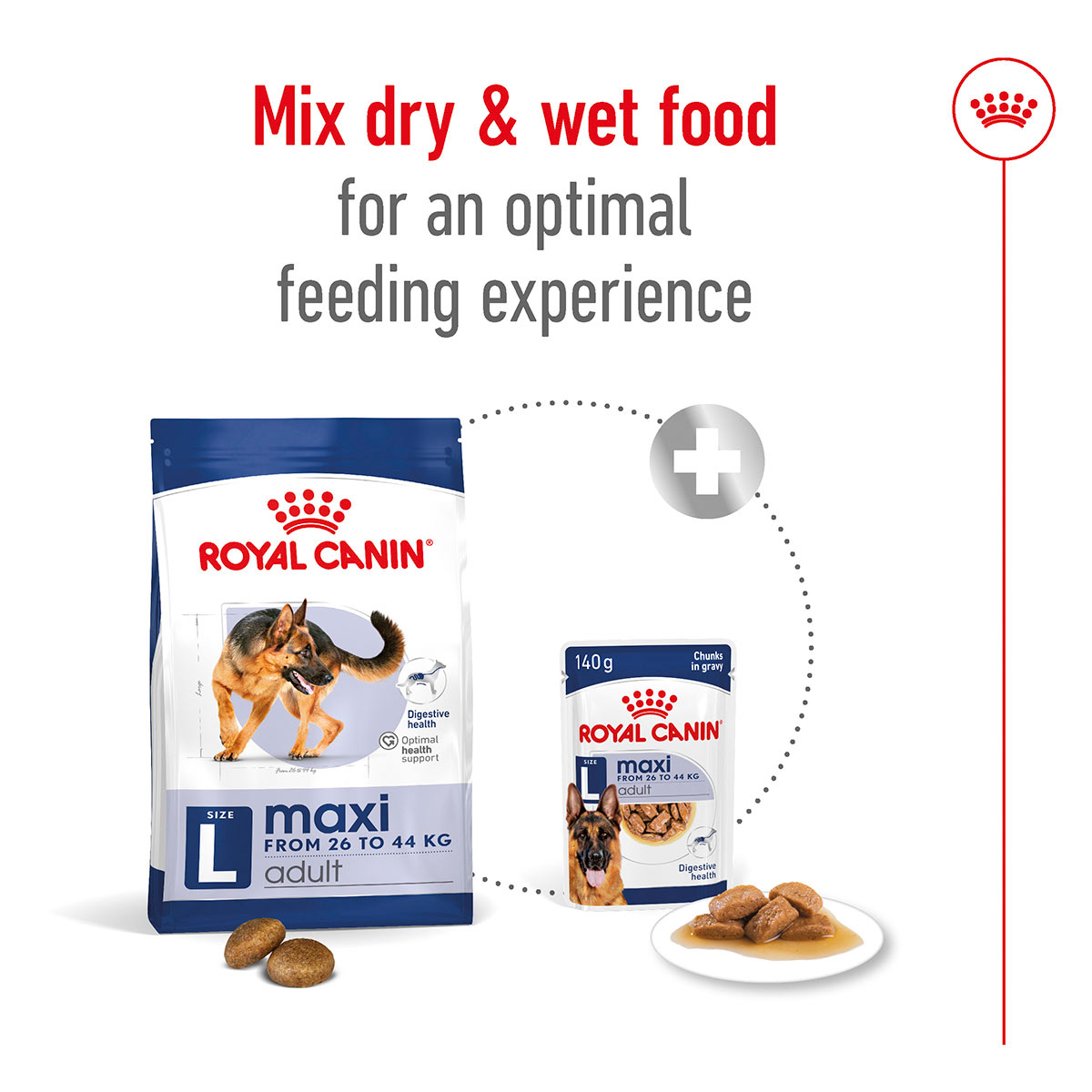 Royal Canin SHN Maxi Adult Gravy günstig kaufen bei ZooRoyal