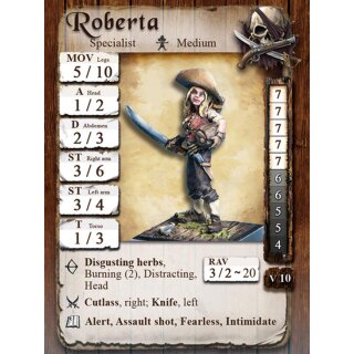 Piraten Themenbox