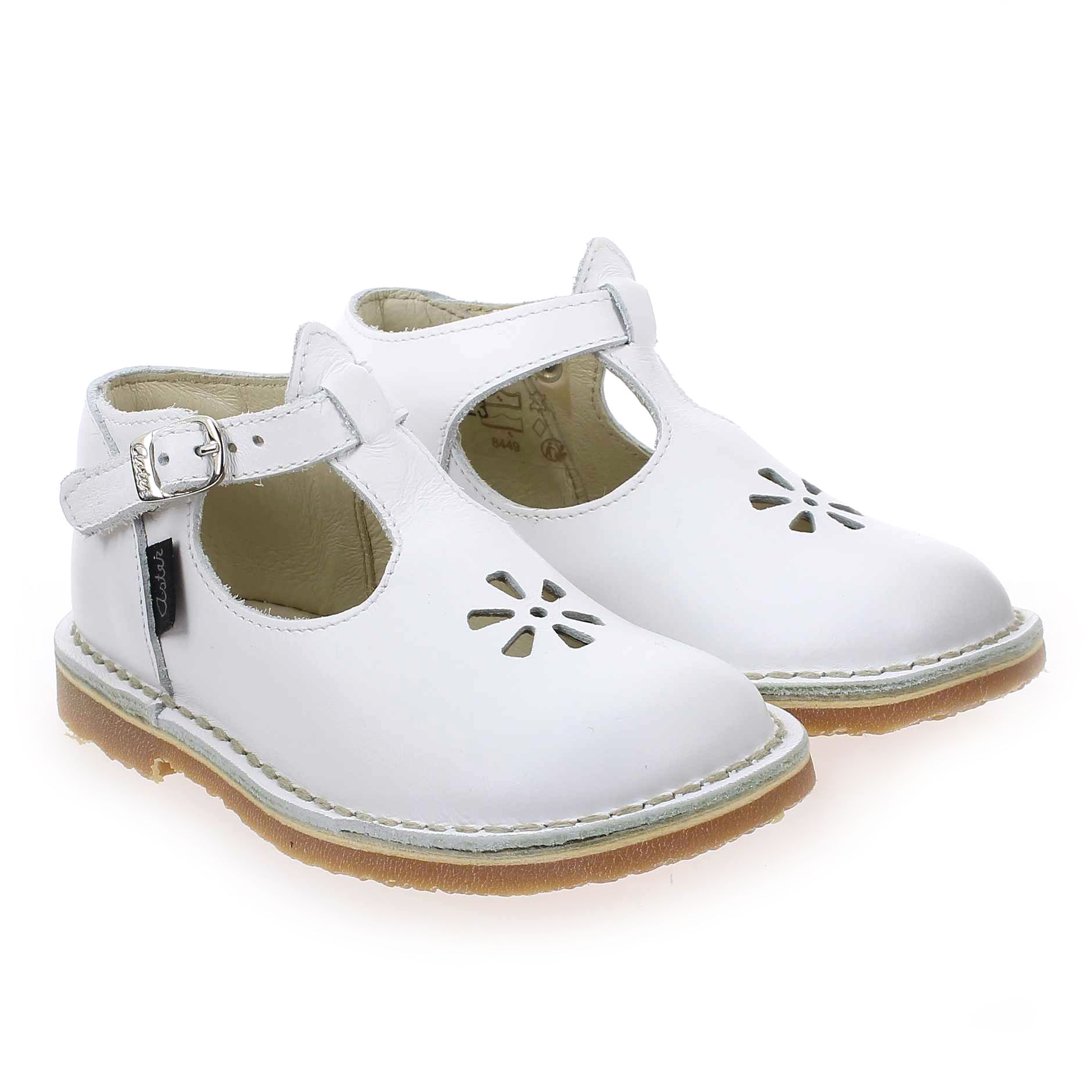 Aster  BIMBO - Blanc