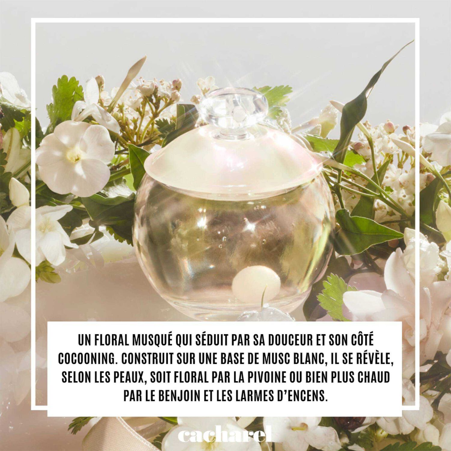 Cacharel Noa Eau de Toilette
