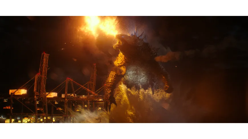 Godzilla vs. Kong  (+ Blu-ray 2D)