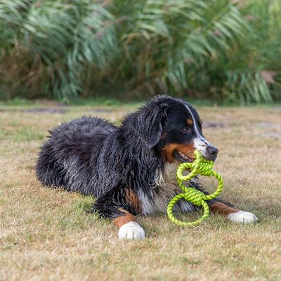 Trixie Hundespielzeug Tugger