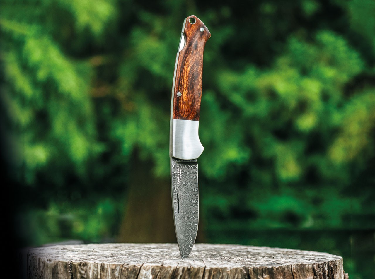 Special Run Davis Classic Hunter Damast WE