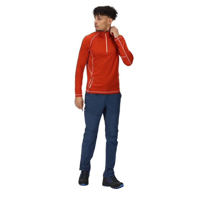 Regatta Questra IV Wanderhose Herren