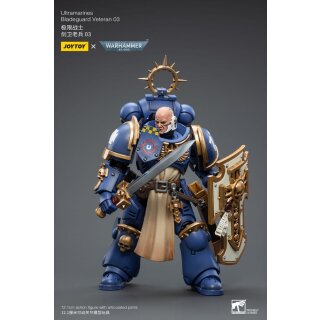 Warhammer 40k Actionfigur: Ultramarines - Bladeguard Veteran 03