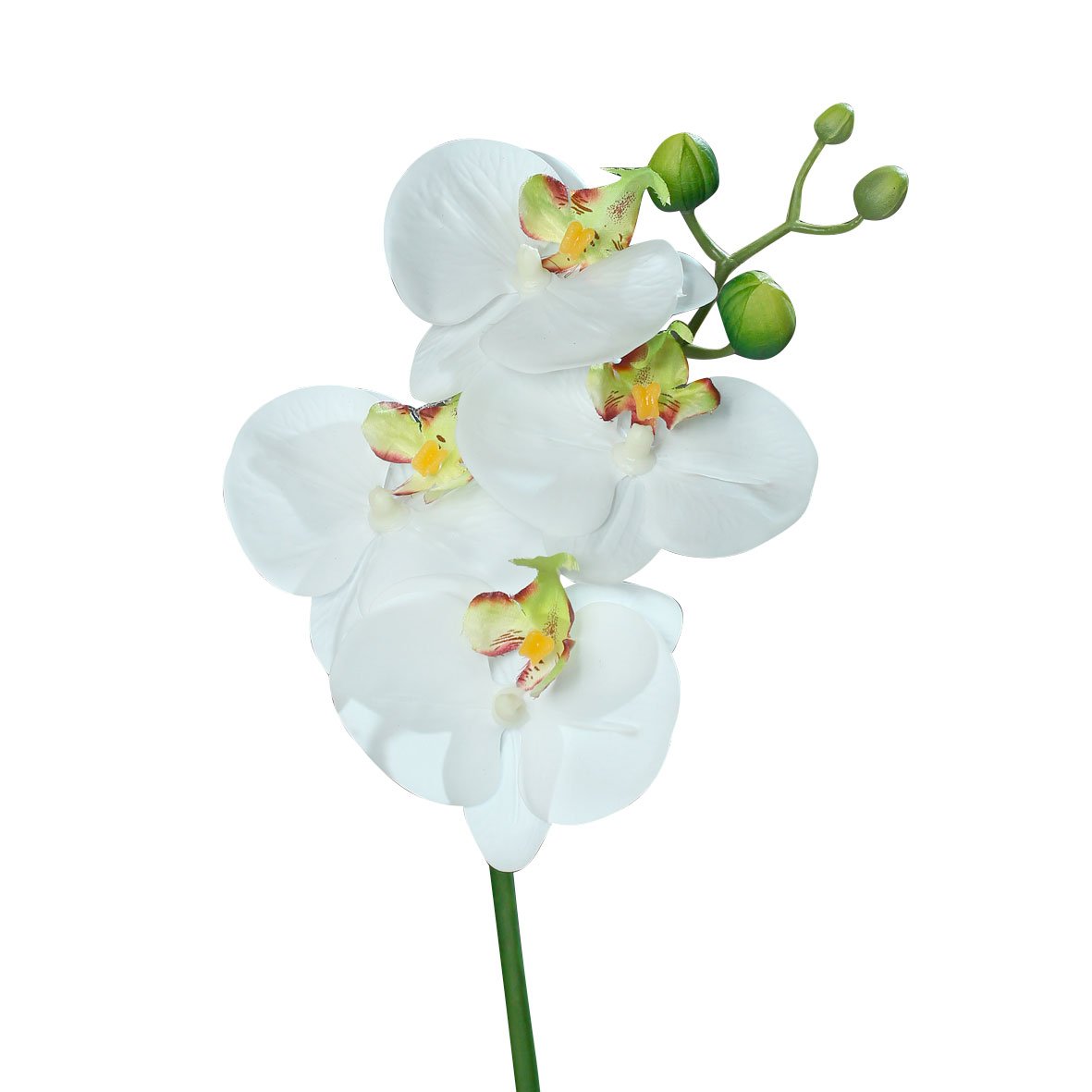 DPIOrchideenzweig 46cm