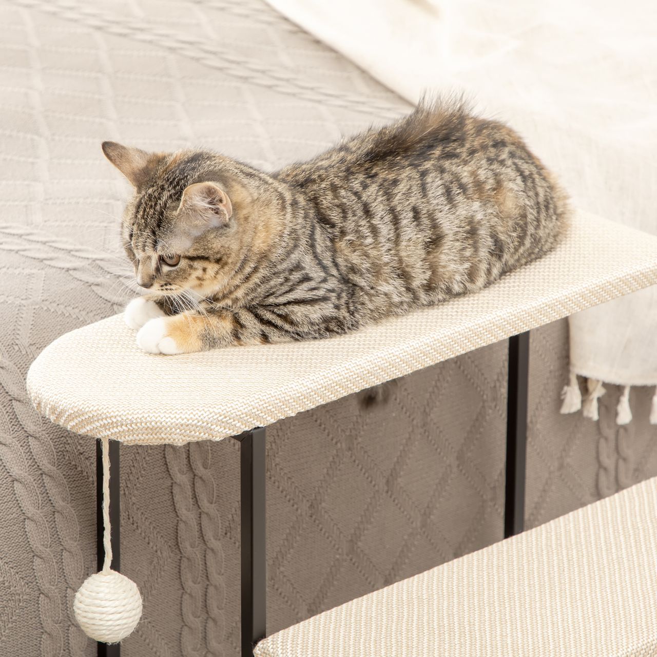 PawHut Haustiertreppe 3-stufige Katzentreppe Kratzbrett Hundetreppe Cremeweiß