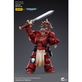 Warhammer 40k Actionfigur: Blood Angels Veteran Salus
