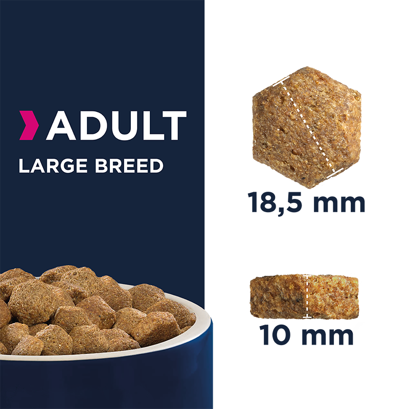 EUKANUBA Hundetrockenfutter EUKANUBA Adult Large Breed Chicken 15 kg