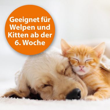 Ardap Insektenspray ARDAP® Flohspray zur Anwendung am Tier 250ml